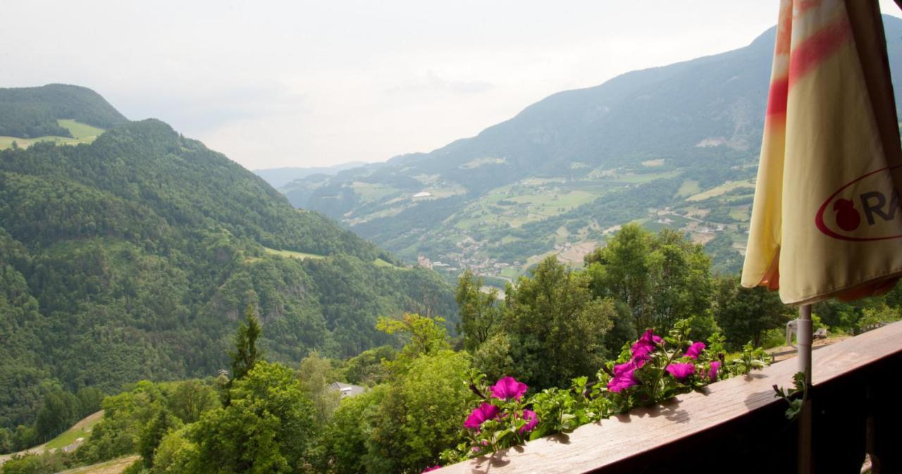 Ausservogelweiderhof Laion Exteriör bild