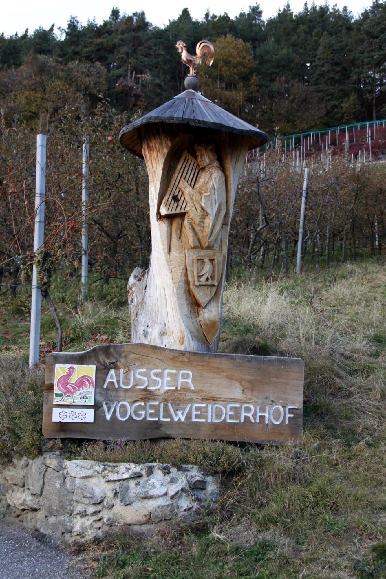 Ausservogelweiderhof Laion Exteriör bild