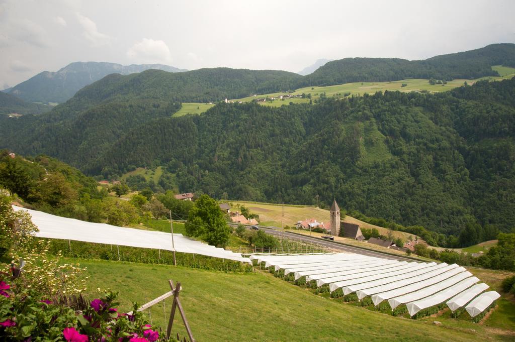 Ausservogelweiderhof Laion Exteriör bild