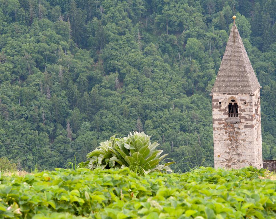 Ausservogelweiderhof Laion Exteriör bild